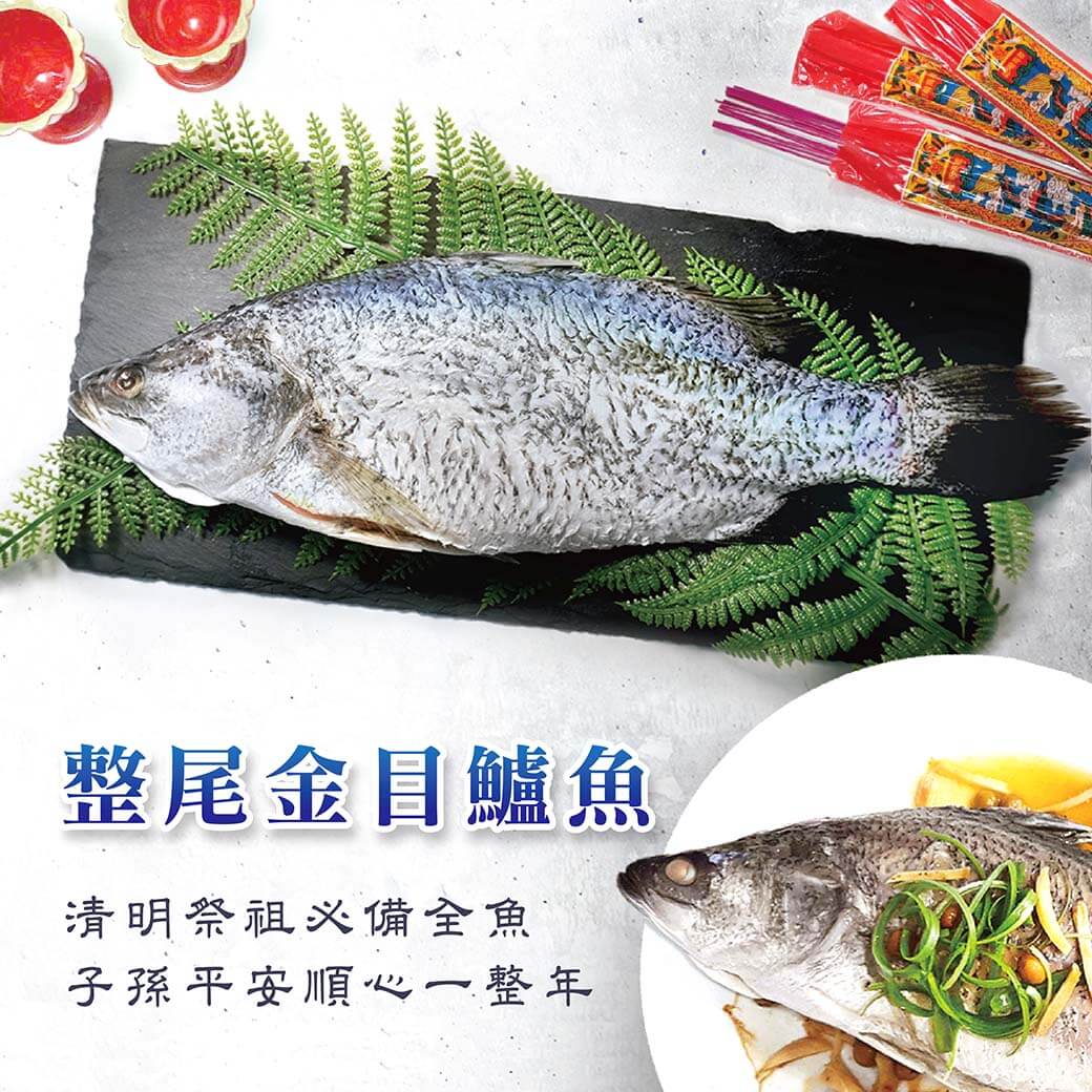 Read more about the article 【清明必備】整尾金目鱸魚