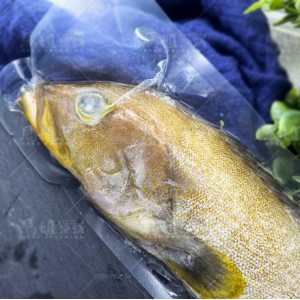 澎湖野生中溝石斑魚 400-450g
