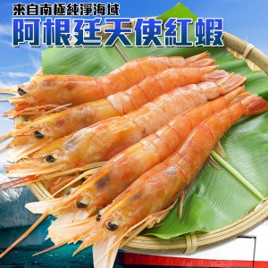 天使紅蝦 2kg(免運)