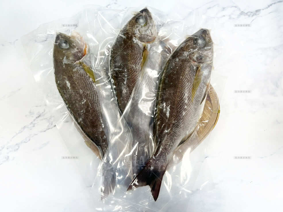 澎湖野生黃雞魚 250-300g