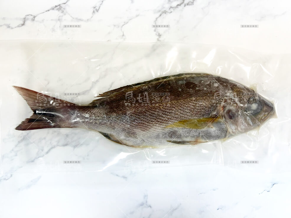 澎湖野生黃雞魚 250-300g