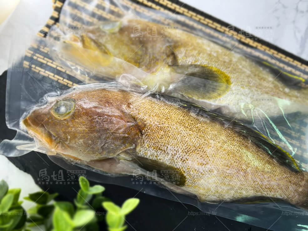 澎湖野生中溝石斑魚 400-450g